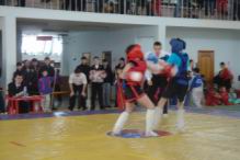 Resize of DSC08327.JPG